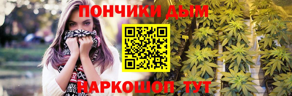 Марихуана тримм  Марихуана план  Марихуана Amnesia  Конопля OG Kush  Сатка  Вход с VPN 